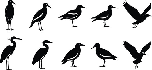 Waterfowl Family Silhouettes Vector Set Featuring Mother Ducks, Geese, and Ducklings, Ideal for Wildlife, Pond Life, Spring, and Education Graphic Design Projects © It's Majed Here