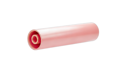 Pink Tube with Inner Cylinder on White Background