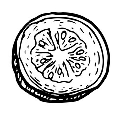 Guava vector illustration. Dried guava piece isolated on white, tropical sweet organic snack, healthy summer food sketch.