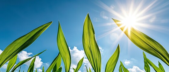 Vibrant Green Leaves Reaching for the Sun in a Blue Sky