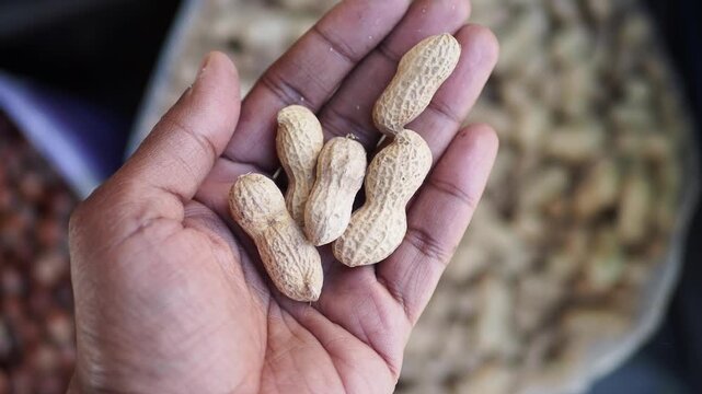 Hand holding raw peanuts at a local market