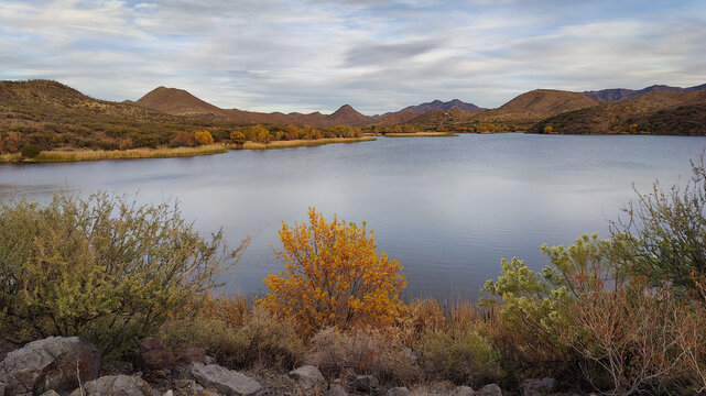 Patagonia Arizona