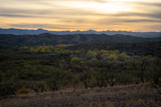 Patagonia Arizona