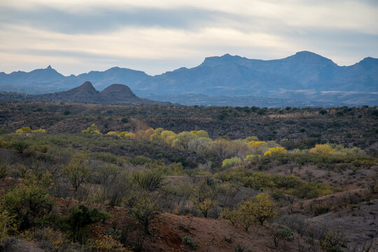 Patagonia Arizona