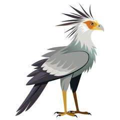 Obraz premium Colorful Secretarybird with distinctive crest and long legs on transparent background