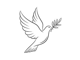 Obraz premium White dove with olive branch flying