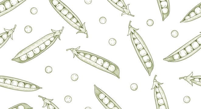 Elegant vintage-style seamless pattern depicting fresh green pea pods, both whole and shelled, along with scattered individual peas on a white surface.