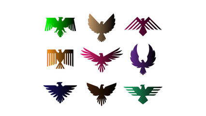 Raven Bird Illustration