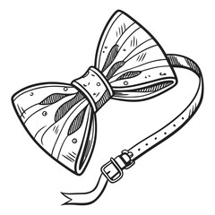butterfly on a white background vector