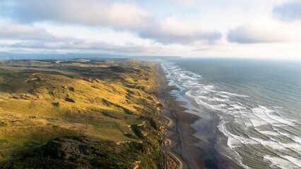 Endless West Coast Shoreline at Karioitahi Beach, New Zealand