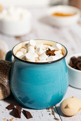 hot chocolate with marshmallows in a mug and cookies, vertical photo