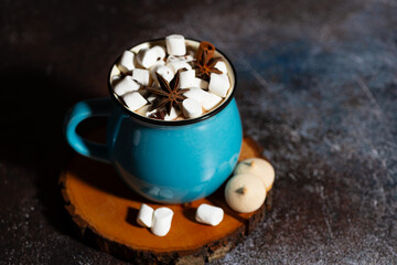 hot chocolate with spices and marshmallows on a dark table