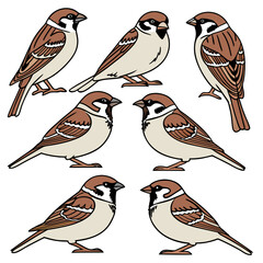Fototapeta premium birds on a branch