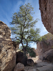 City of Rocks, New Mexico