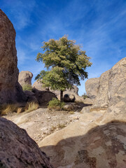 City of Rocks, New Mexico