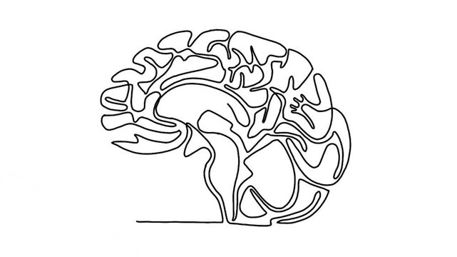 Continuous line animation of brain