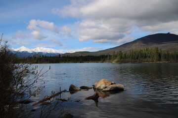 Stones In The Lake, Jasper National Park, Alberta