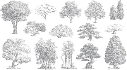 Fototapeta premium Collection of diverse trees and bamboo stalks rendered in a stippled grayscale style on a white background
