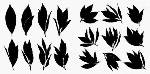 Set of black silhouette leaves in various shapes and arrangements, isolated on a transparent background for design elements. © Akun