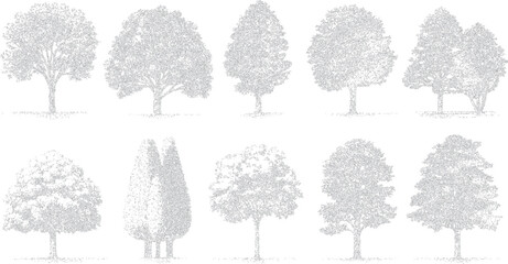 Collection of ten diverse deciduous and coniferous trees rendered in a detailed line style with a monochromatic grey outline on a white background © Pixel Park