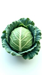 Obraz premium cabbage isolated on white background