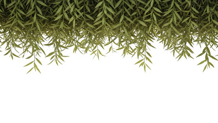 Green plant leaves isolated on transparent background with hanging branches