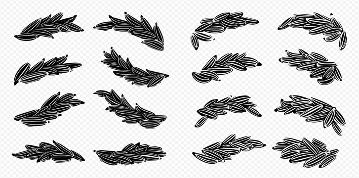 Set of black cumin seeds in various piles and arrangements on a transparent background.