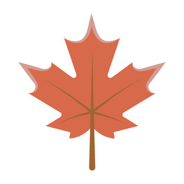 Vector colourful icon for Maple leaf