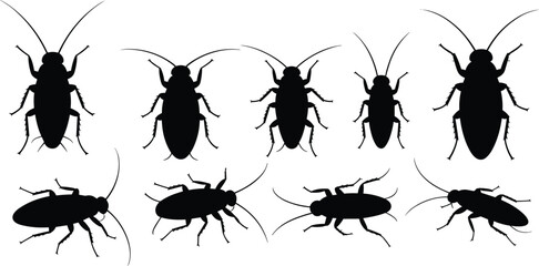 Cockroach silhouettes collection showing insect pests in different views isolated on white background vector illustration © Nusaiba's World
