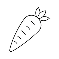 Carrot line art vegetable illustration healthy food drawing on white background Vector illustration