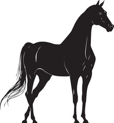 Akhal-Teke Horse Vector Silhouette Black Isolated on White Background