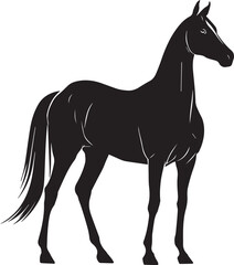 Akhal-Teke Horse Vector Silhouette Black Isolated on White Background