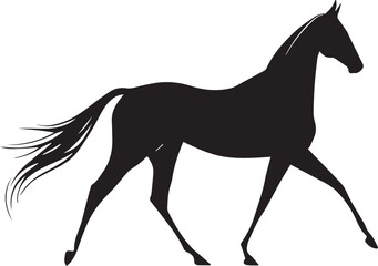 Akhal-Teke Horse Vector Silhouette Black Isolated on White Background
