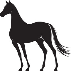 Akhal-Teke Horse Vector Silhouette Black Isolated on White Background