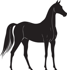 Akhal-Teke Horse Vector Silhouette Black Isolated on White Background