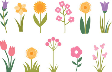 Flat Flower Vector Set. Colorful Spring and Summer Floral Illustrations