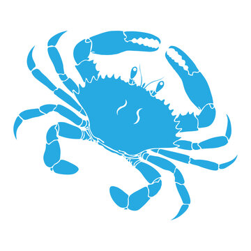 crab icon, crab vector icon, stone crab flat icon, sea crab silhouette isolated, vector illustration, isolated on white