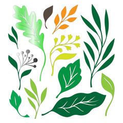 autumn leaves vector image