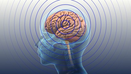 Concussion Effect On Human Brain Activity