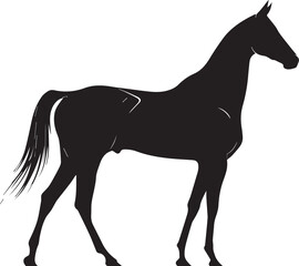 Akhal-Teke Horse Vector Silhouette Black Isolated on White Background