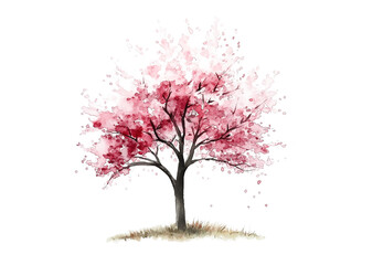 cherry blossom tree