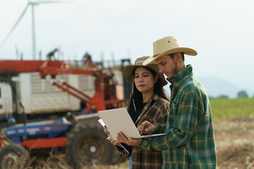 The sugarcane plantation owners are analyzing and discussing how to harvest the sugarcane in their fields.
