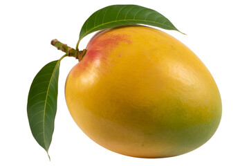 Single ripe mango with leaves