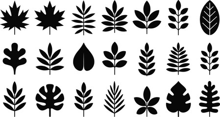 Set of diverse black leaf silhouettes representing various botanical species useful for nature or eco-friendly marketing materials.