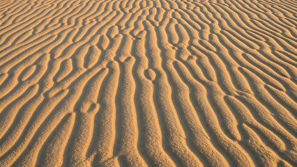 Fototapeta premium Golden desert sand ripples forming intricate, abstract natural patterns under soft sunlight, showcasing the delicate textures of the dune surface