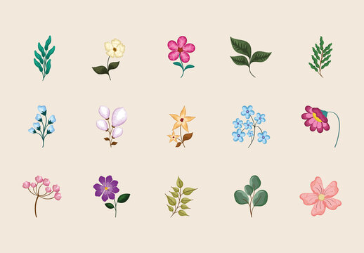 Colorful Flower Botanical Illustration Set