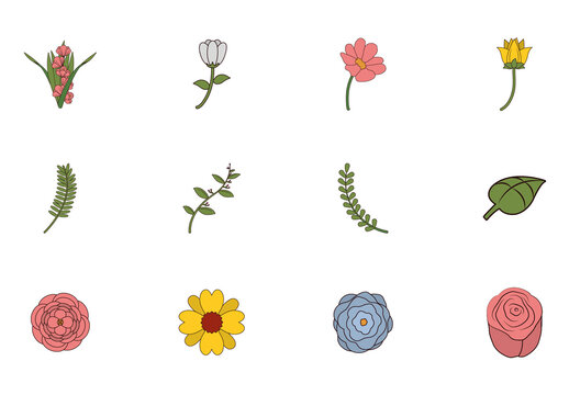 Colorful Flowers Leaves Botanical Illustrations Set