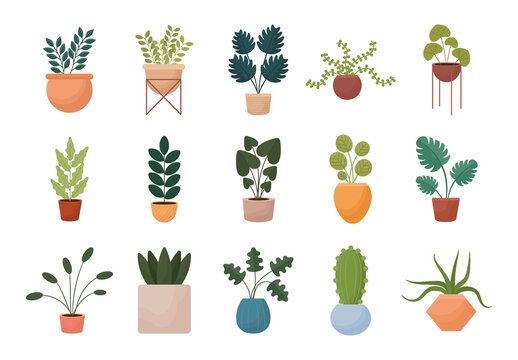 Colorful Indoor Plant Illustration Set
