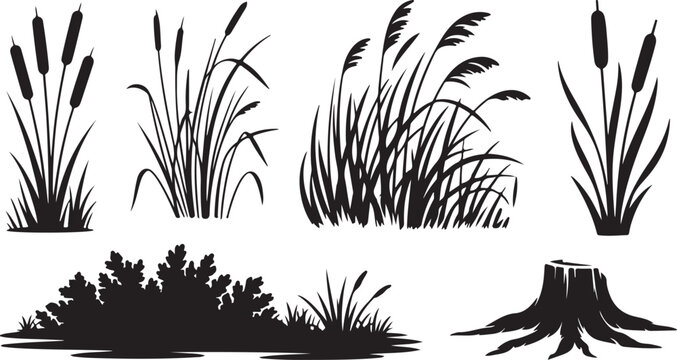 Grass, Reed, and Ground Silhouette Set Featuring Wild Meadow Plants, Bush Bases, and Tree Stump Landscape Elements in Black Vector Style
