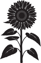 sunflower silhouette on a white background
